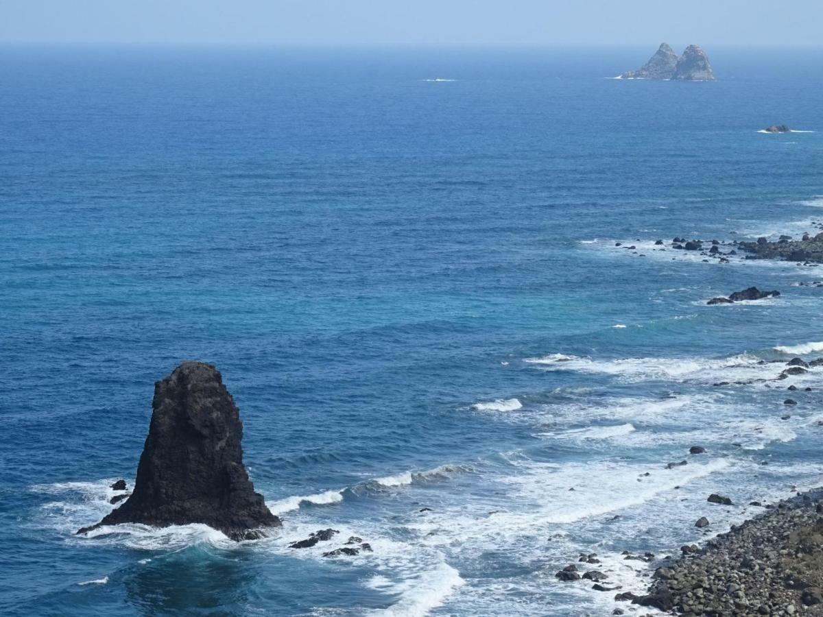 滨海帕尔姆Orion公寓 外观 照片